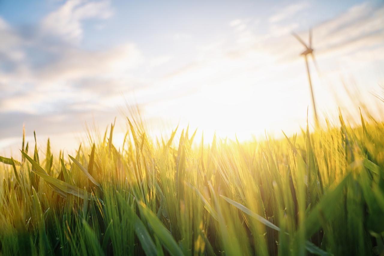 Nature champs rayon de soleil