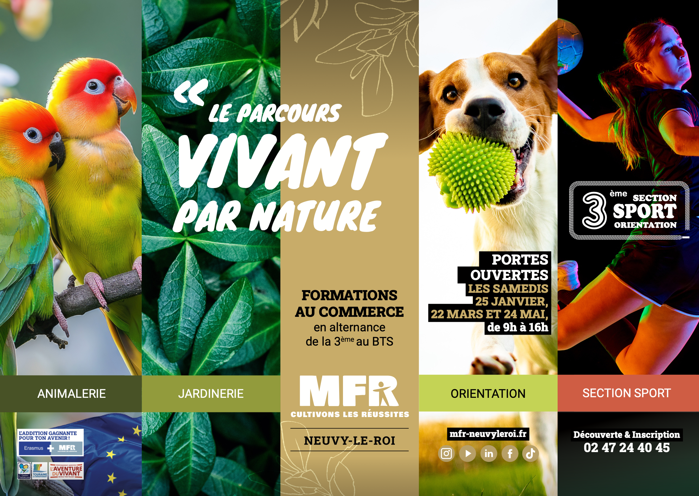 Capture d’écran 2025-01-21 à 11.45.59 journée portes ouvertes 2025