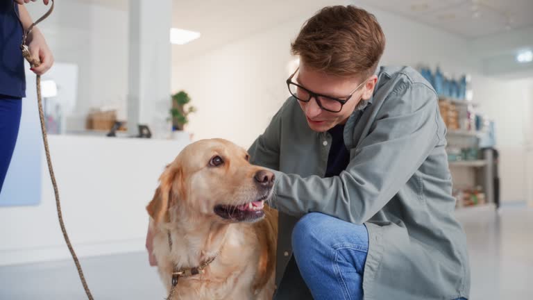 istockphoto-1456794909-640×640